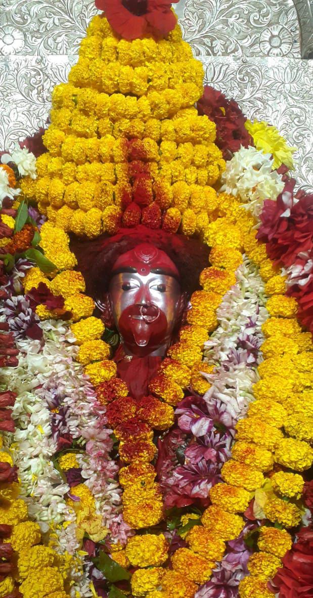 WhatsApp Image 2026-02-19 at 12.02.48