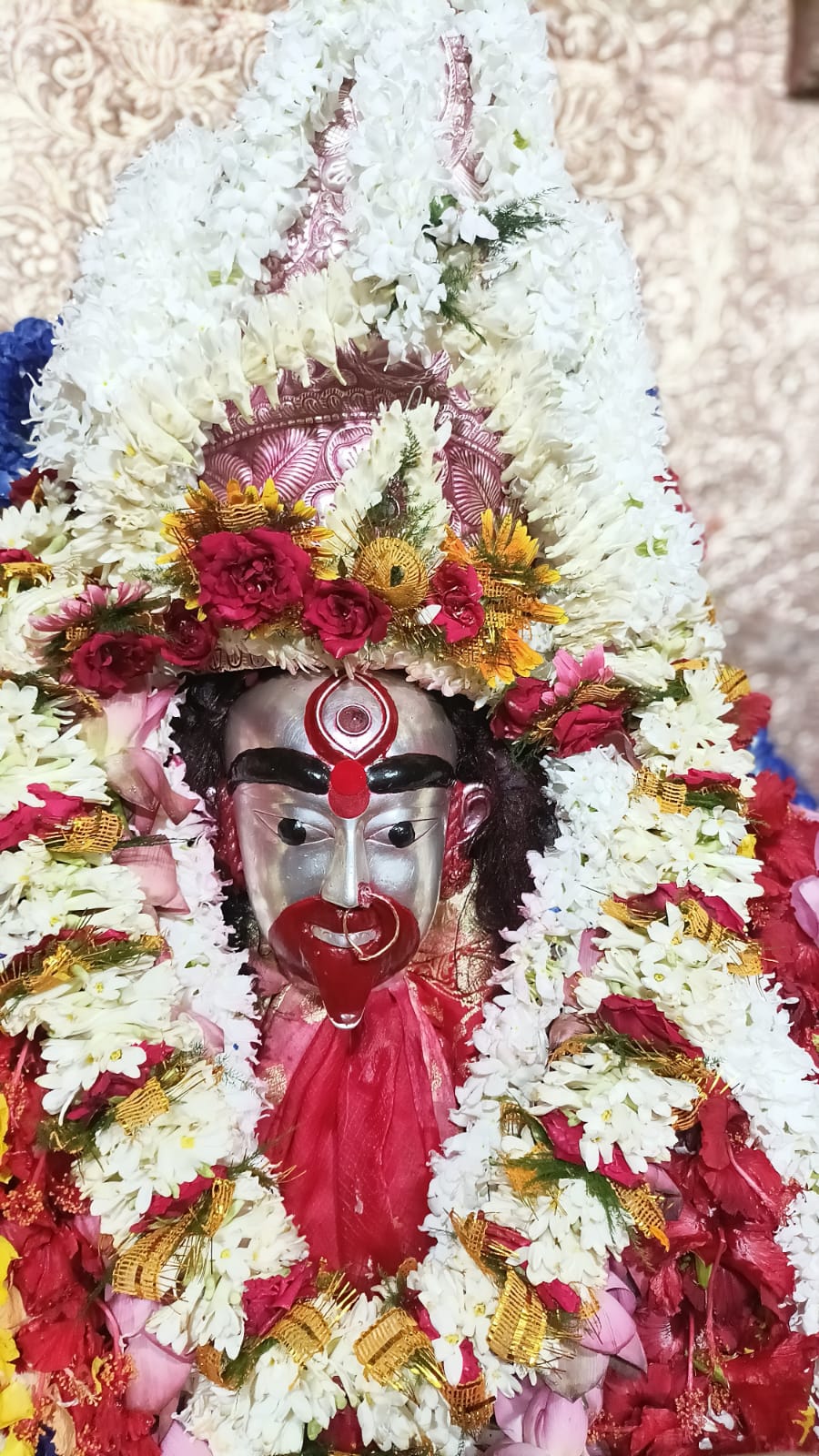 WhatsApp Image 2026-02-19 at 12.02.49 (1)