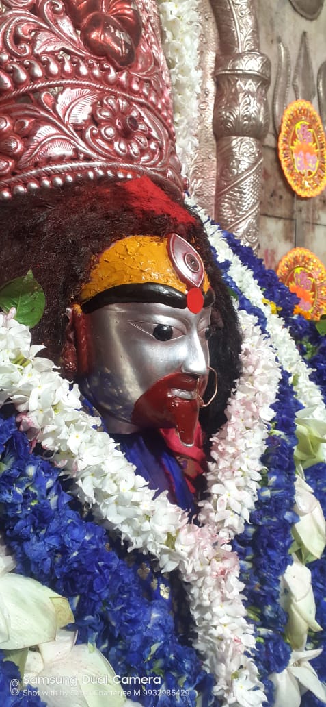 WhatsApp Image 2026-02-19 at 12.02.49